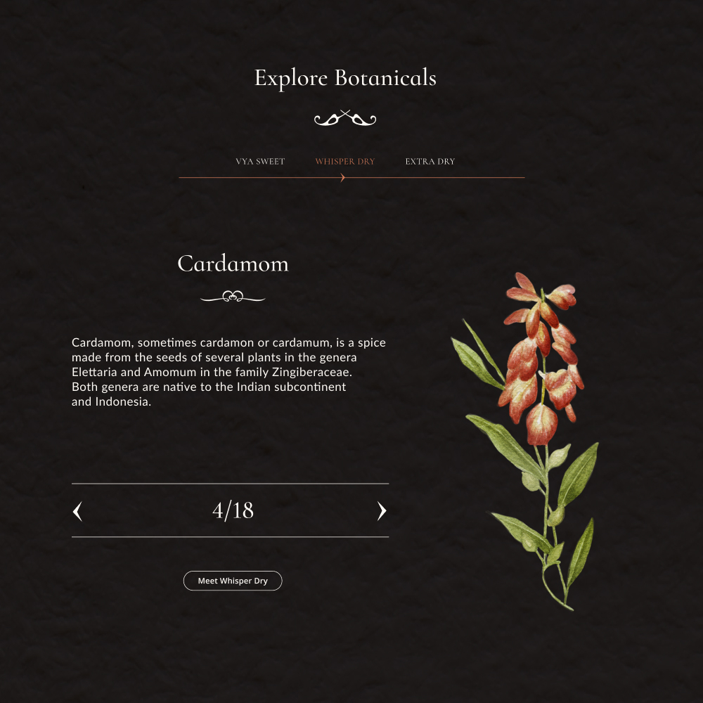 Vya botanical ingredients website slider component design example