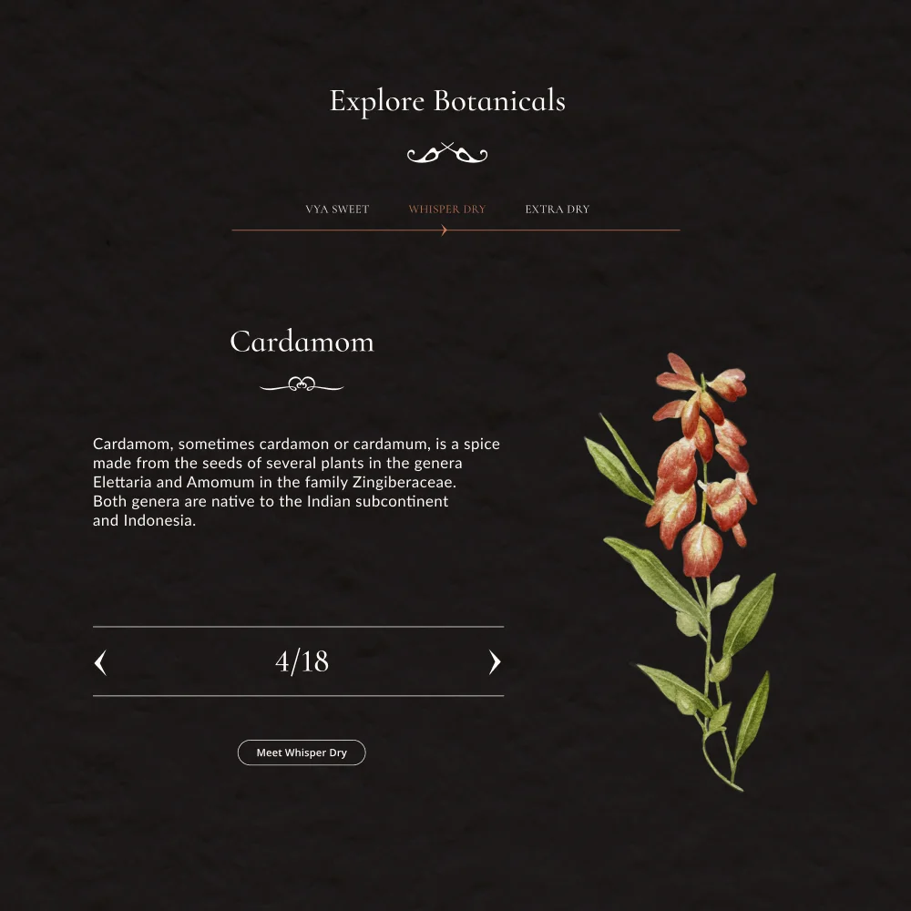 Vya botanical ingredients website slider component design example