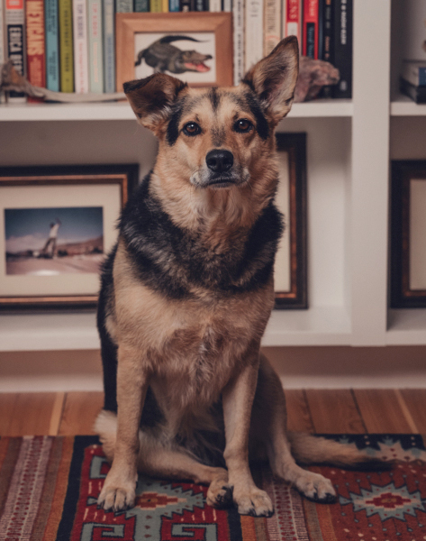 Portrait of Christine's dog named Lu